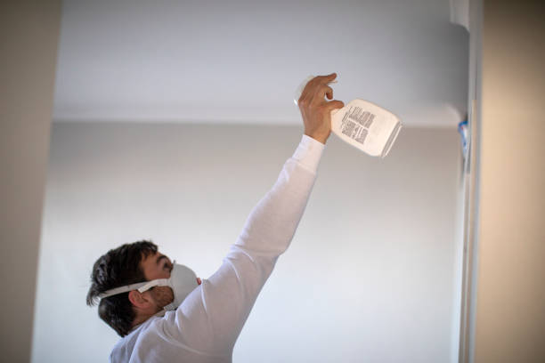 Best Residential Mold Removal  in Niles, OH