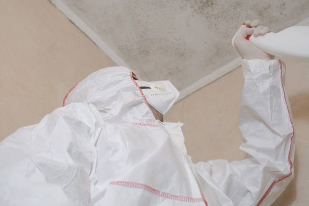 Best Crawl Space Mold Removal  in Niles, OH